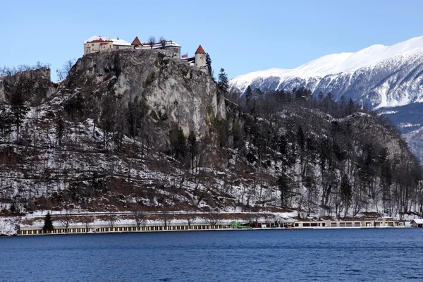 Jezero Bled s hradem, Bled, Slovinsko — Stock fotografie