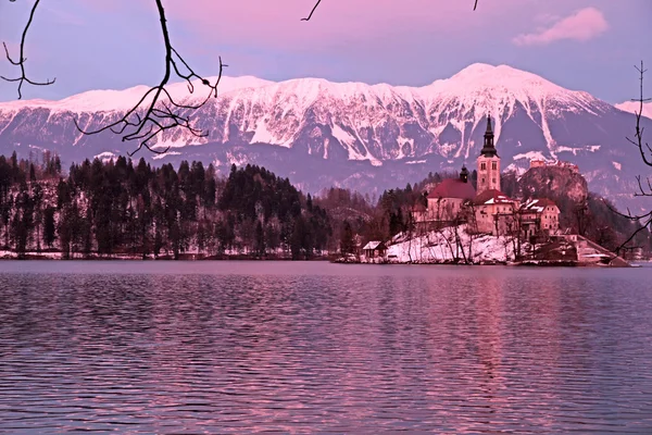 Bledské jezero a ostrov kostel, Slovinsko. — Stock fotografie