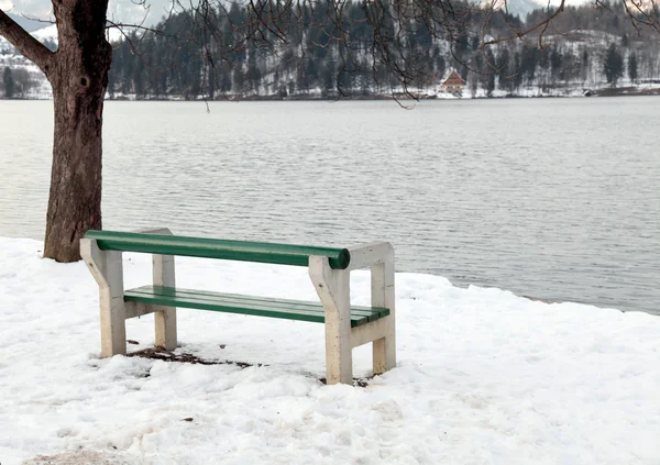 Leere Bank am See, Slowenien — Stockfoto