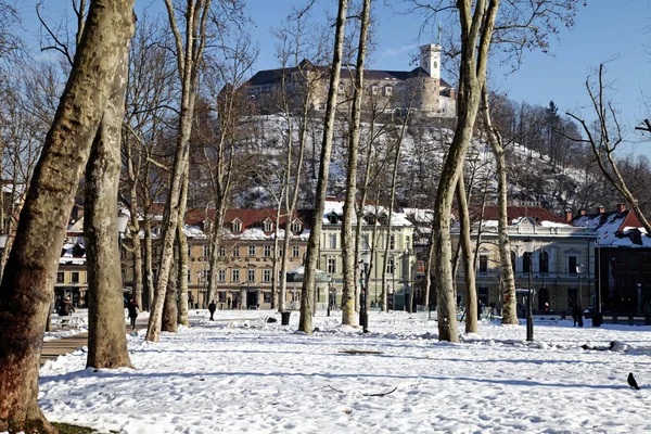 Park en het kasteel in Ljubljana, Slovenië — Stockfoto