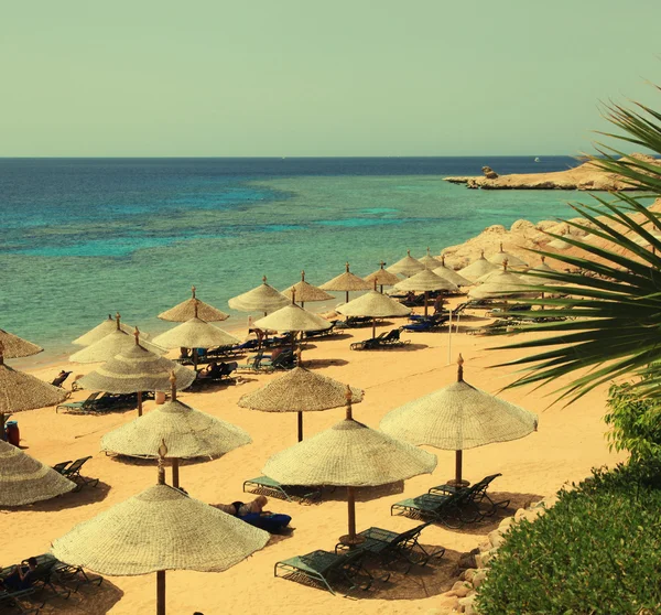 Beach umbrellas on sandy beach, Egypt — Stock Photo, Image