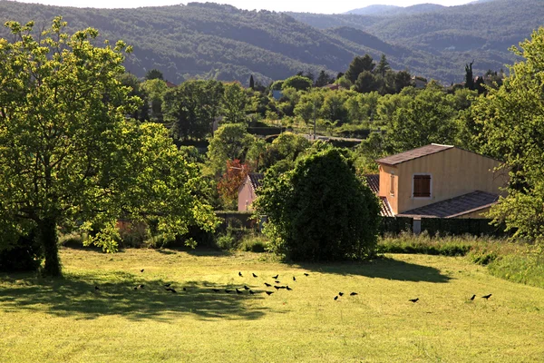 Vidéki táj, Provence, Franciaország — Stock Fotó