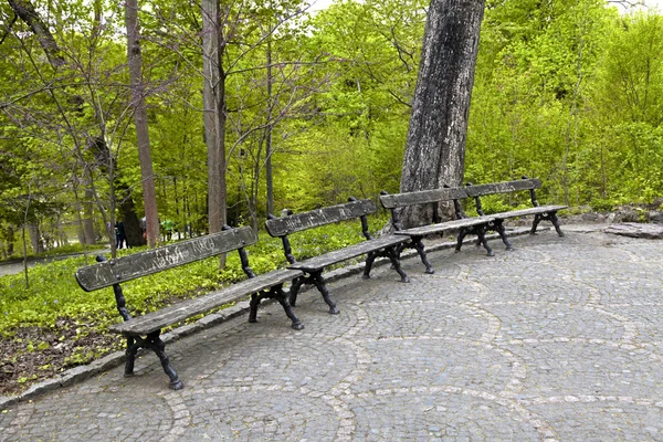 Banco de madera en el parque Sophia. Uman, Ucrania — Foto de Stock