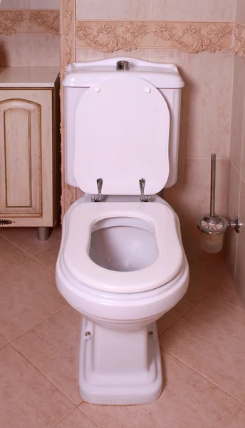 Домашній змивний туалет з унітазом — стокове фото