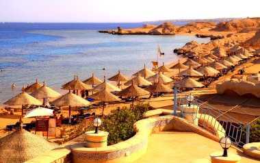 umbrella and sunbeds on the sandy beach of Red Sea , Sharm El Sheikh, Egypt