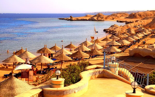 Umbrella and sunbeds on the sandy beach of Red Sea , Sharm El Sheikh, Egypt — ストック写真