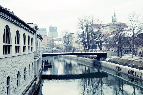 Paisaje urbano de invierno con el mercado de Liubliana y Liublianica ri — Foto de Stock
