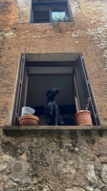 Güney Fransa 'da eski bir taş evin açık penceresinde oturan siyah köpek. Büyüleyici kırsal mimari, sıcak Akdeniz atmosferi ve rahat köy manzarası..