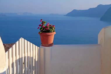 Santorini, Yunanistan balkon, çiçekli vazo