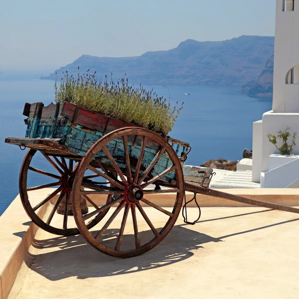 Dekorativa gamla vagn med blommor på takterrass, Santorini, Grekland — Stockfoto