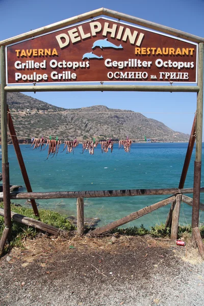 Grecka tawerna z ośmiornicy wiszące do wyschnięcia, Grecja — Zdjęcie stockowe
