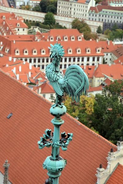 St. Vitus Katedrali, Prag spire, bronz horoz — Stok fotoğraf