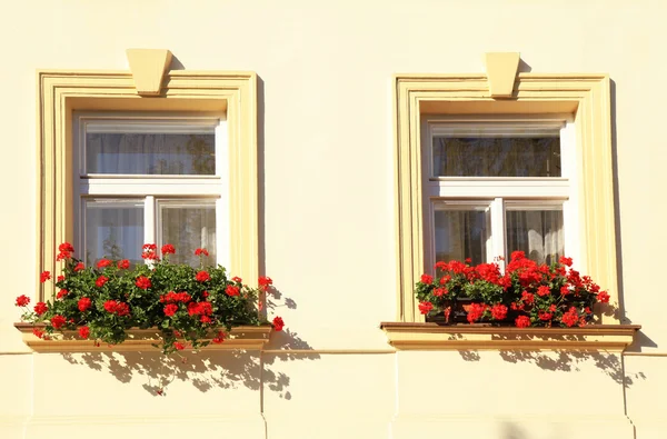 Okna a balkónové truhlíky, Praha — Stock fotografie