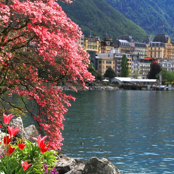Montreux and  Lake Geneva, Switzerland. — Stock Photo, Image