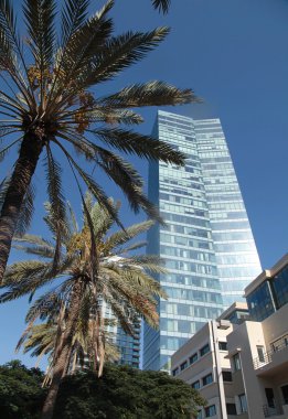 Güzel cityscape Bulvarı Rotschild Tel Aviv, İsrail.