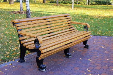 Sonbahar parkında bankta
