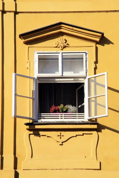 Öppna fönstret med blommor i gamla stan i Prag, Tjeckien — Stockfoto