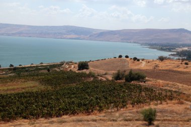 Güzel kırsal manzara, Celile Denizi, Tiberias, İsrail