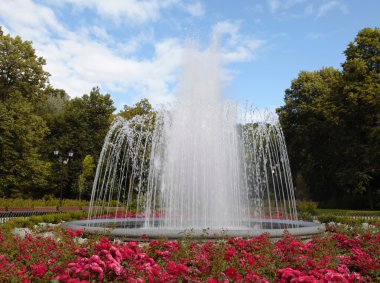 bir yaz parkta büyük çeşme