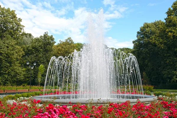 Grote fontein in een zomer park — Stockfoto