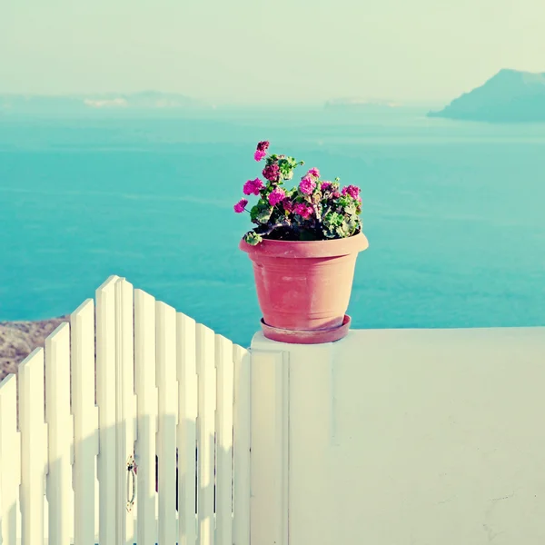 Vase mit Blumen auf dem Balkon in Santorini, Griechenland — Stockfoto