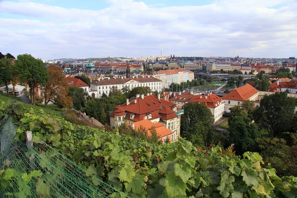 Bağ Prag — Stok fotoğraf