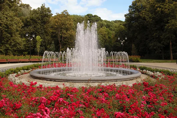 Fonte redonda com flores vermelhas em um parque de verão — Fotografia de Stock