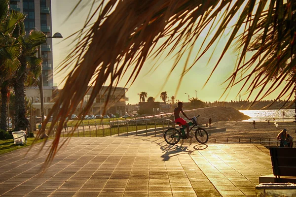 Silueta de ciclista cabalgando a lo largo de la playa al atardecer — Foto de Stock