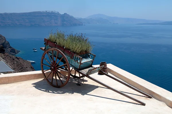 Dekoratif eski sepeti çiçek Teras, Santorini, Yunanistan ile. — Stok fotoğraf