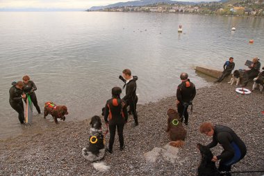 Kurtarma ekipleri ile onların hizmet köpekleri eğitim cource katılan
