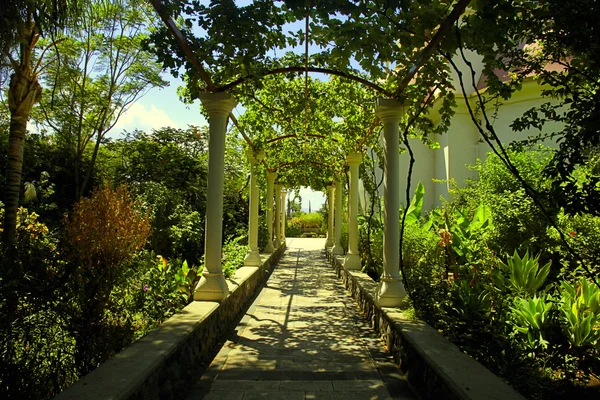 Bellissimo passaggio pergolato nel giardino estivo — Foto Stock