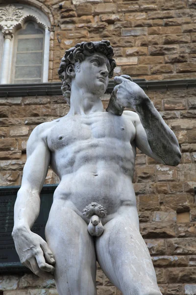 David statue by Michelangelo Buonarroti, Florence, Italy — Stock Photo, Image