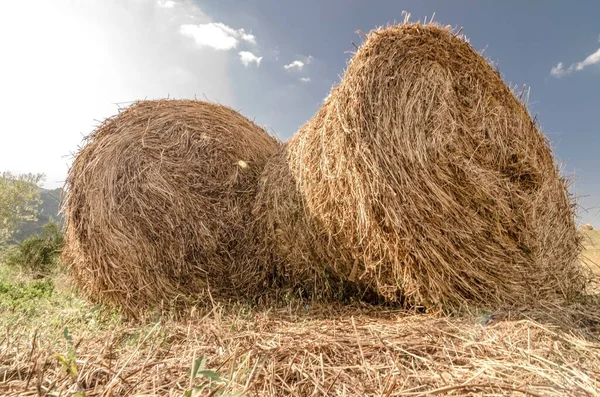 Paisagem Rural Com Fardos Redondos Feno Primeiro Plano — Fotografia de Stock