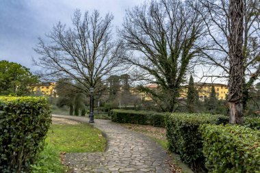 Bir kamu parkındaki patika görüntüsü