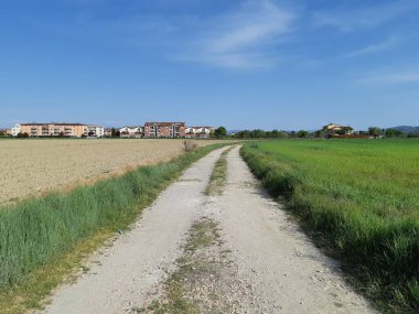 Kırsal kesimin ortasında toprak yol var. Arka planda köy var.