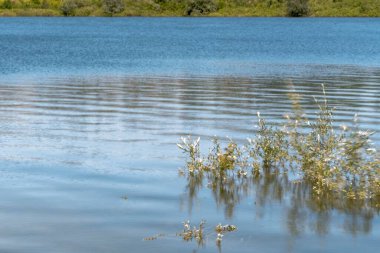 İtalya, Toskana 'daki Mugello' da Bilancino Gölü manzarası