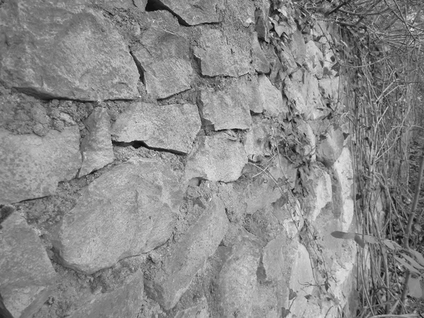 야생 돌 벽입니다. 석조 물 — 스톡 사진
