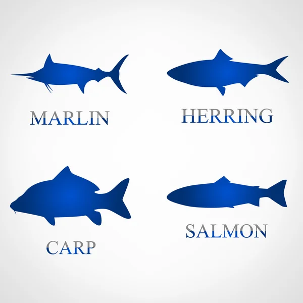 えらストックベクター ロイヤリティフリーえらイラスト Depositphotos えらストックベクター ロイヤリティフリーえらイラスト Depositphotos