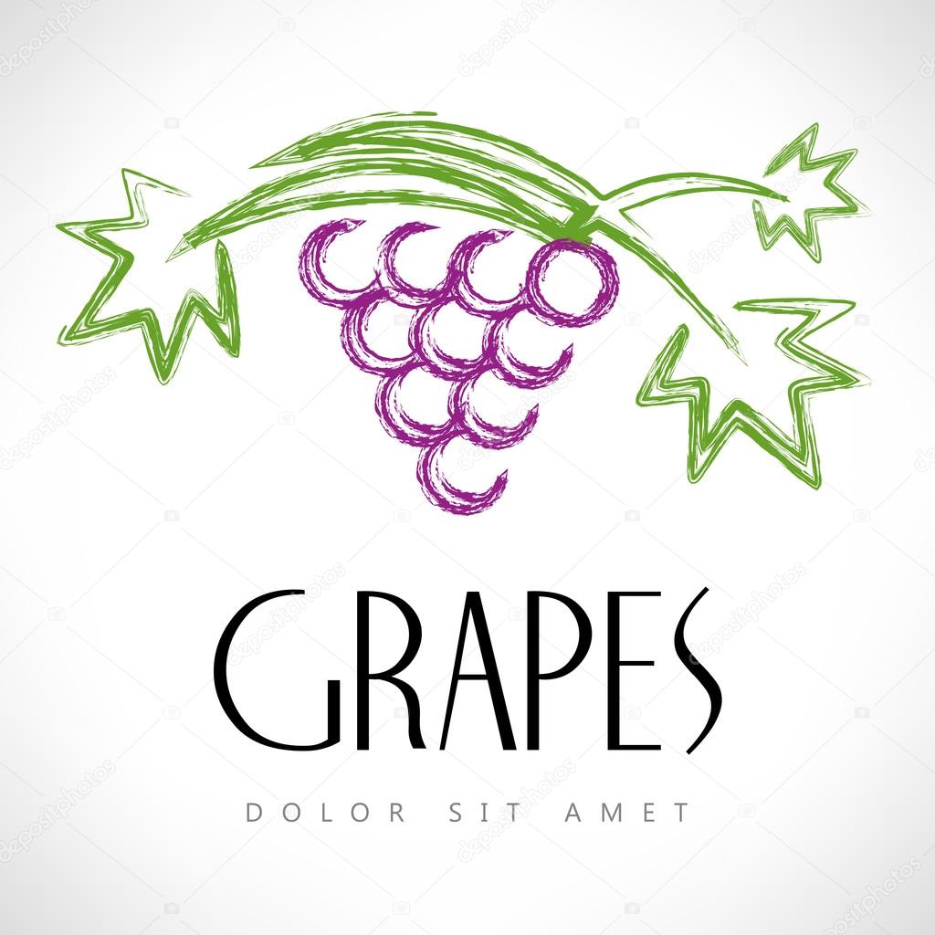 Grapes. Vector illustration.