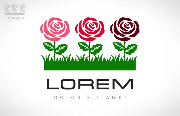 Logotipo de rosas ilustración — Vector de stock