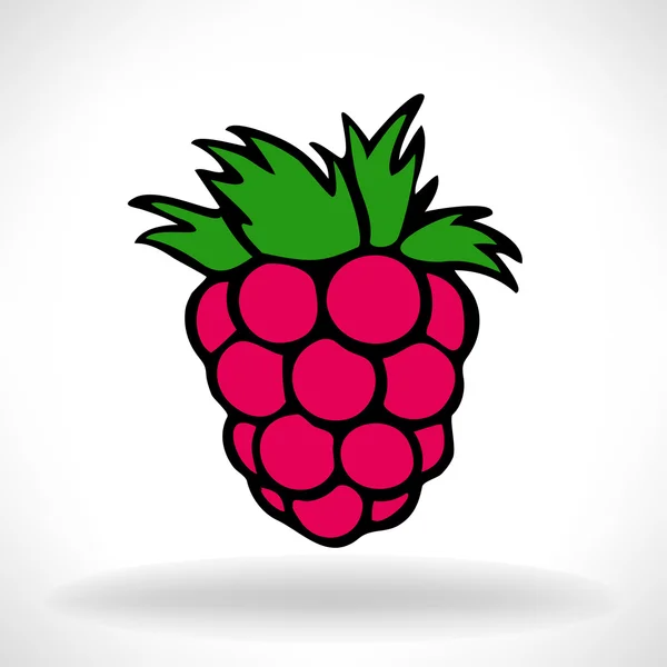 Raspberry mat illustration — Stock vektor
