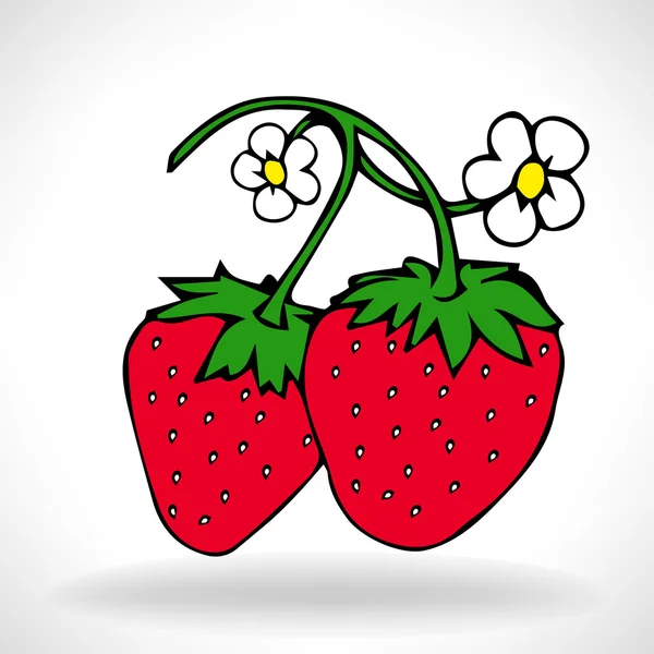 Fresas frescas de jardín — Archivo Imágenes Vectoriales