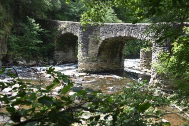 Puente de las Brujas ve Leitzaran nehri. Andoian, Gipuzkoa, Bask Ülkesi, İspanya