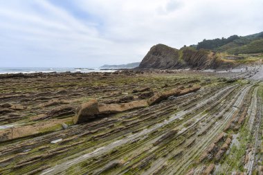Zumaia ve Deba, İspanya arasında Bask Sahili UNESCO Global Geopark 'taki Flysch kaya oluşumları