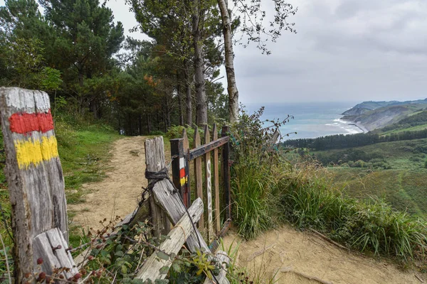 Landscapes Camino Basque Coast Unesco Global Geopark Zumaia Spain — Stock Photo, Image