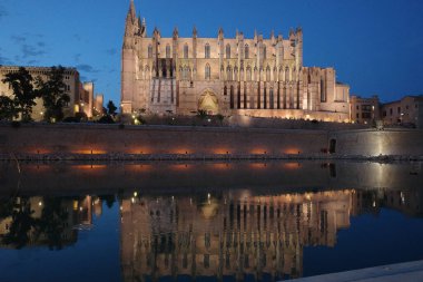 Palma de Mallorca, İspanya -23 Haziran 2025: Palma Katedrali gece aydınlandı, Mallorca, İspanya