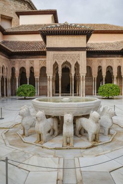 Granada, İspanya - 21 Ekim 2025: Aslanlar Mahkemesi (Patio de los Leones) Alhambra Nasrid Saraylarında Çeşme