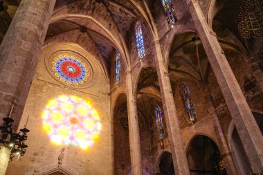 Palma de Mallorca, İspanya - 11 Kasım 2025: Palma Katedrali İki Yıllık Işık Fenomeni, Festa de la Llum