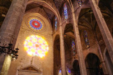 Palma de Mallorca, İspanya - 11 Kasım 2025: Palma Katedrali İki Yıllık Işık Fenomeni, Festa de la Llum