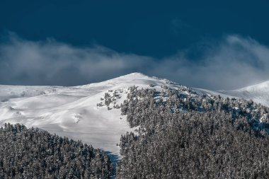 Karlı dağ sırası. Güneşli dağ tepesi. Kış dağı ormanı. Kış dağı manzarası. Kafkas Dağları. Arkaplan